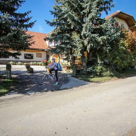 Moj Dom-Toplak Hotel Jursinci Luaran gambar